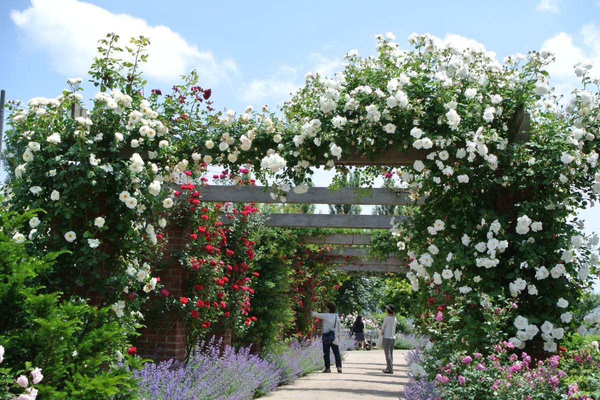 🌸 미츠케 잉글리시 가든